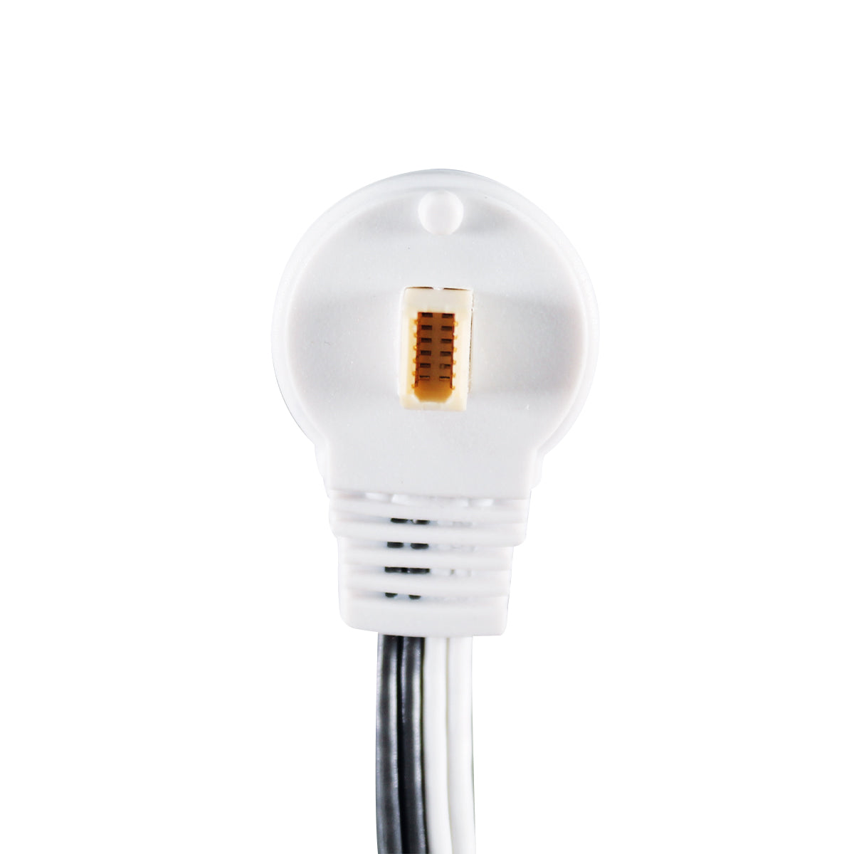 Cable para electro estimulador, para modelo EM80, 2 piezas (4541585424524)